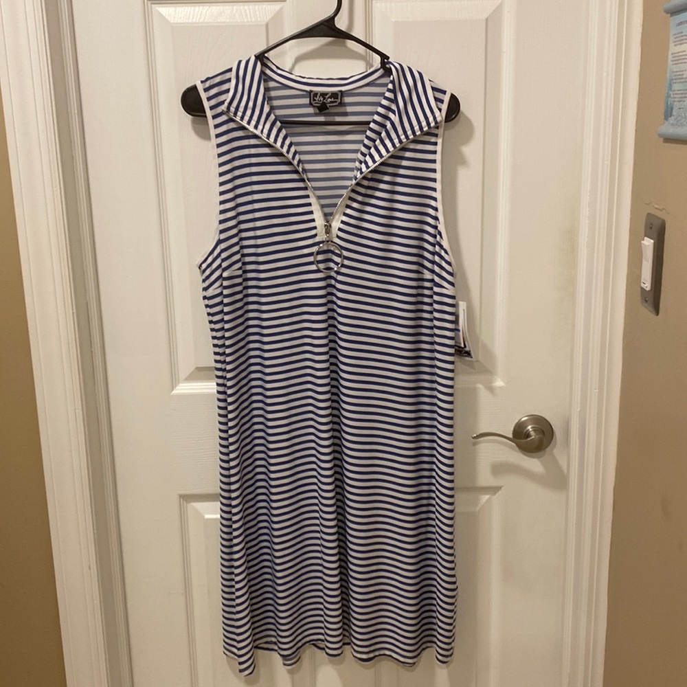NWT Blue and white sundress